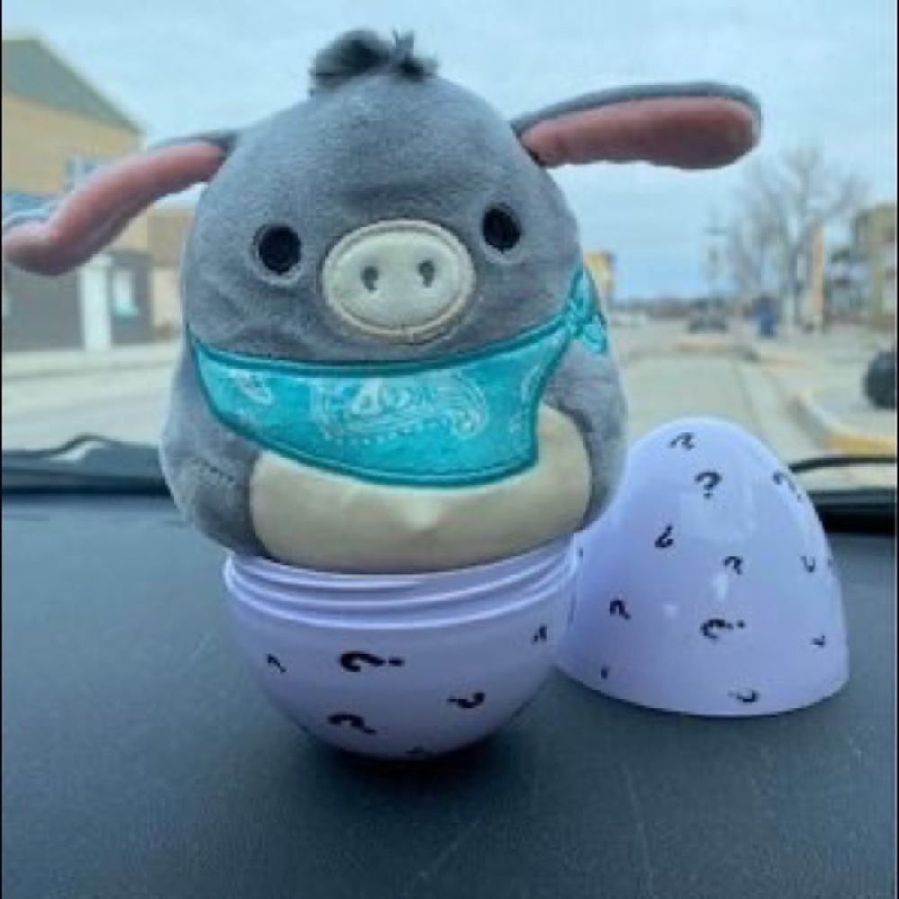 Squishmallows Donkey Mystery Capsule